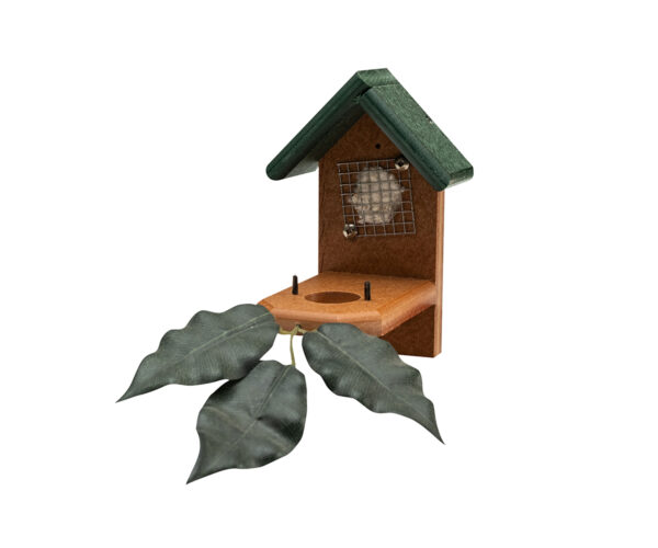 Hummingbird Nest House