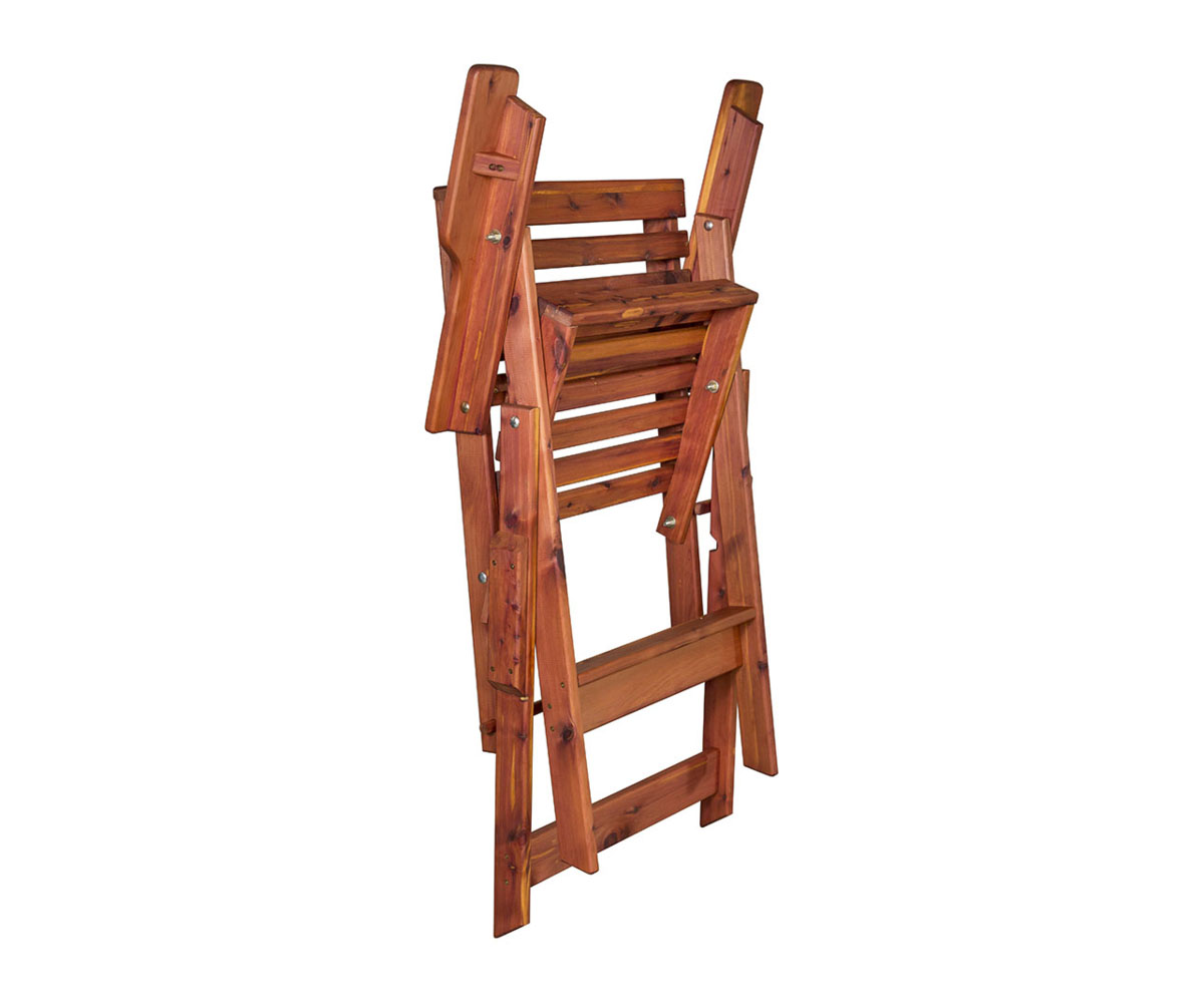 Director's Chair - Image 2