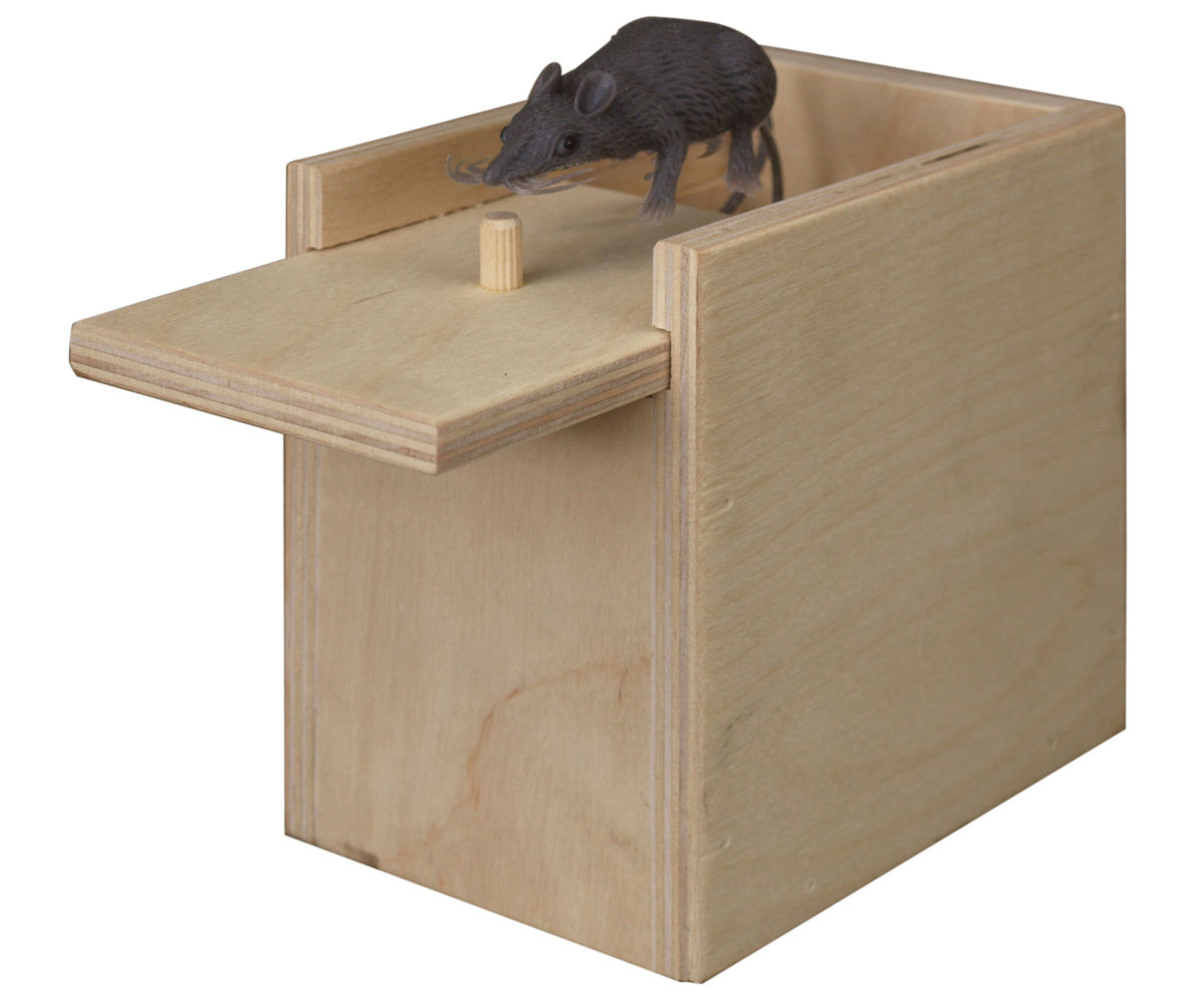 Surprise Box - Image 2