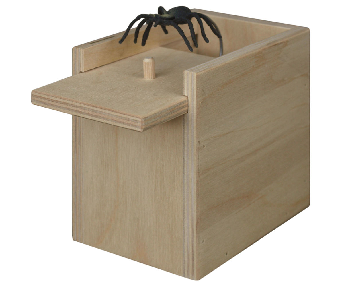 Surprise Box - Image 3