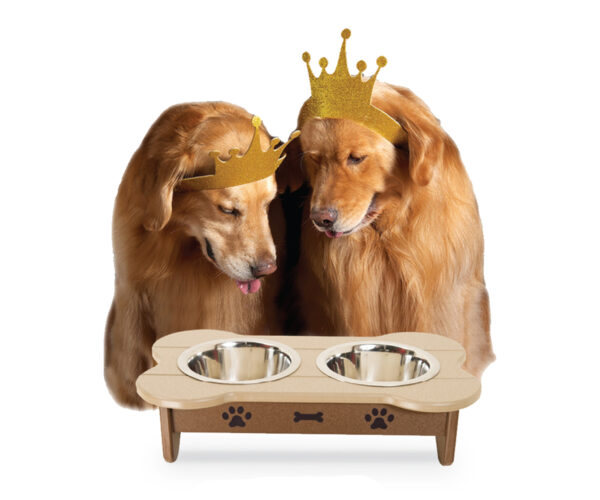 Dog Feeder