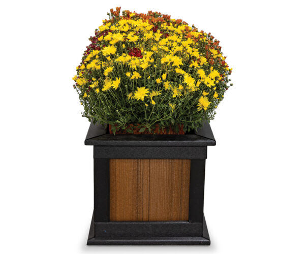Flower Box