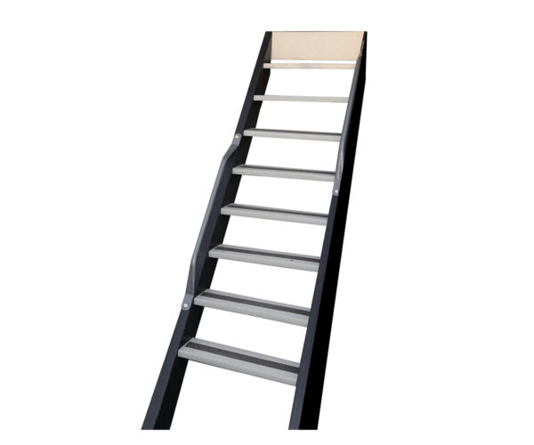 5' Ladder