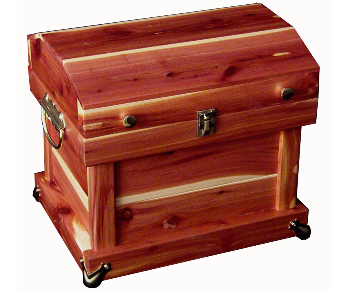 Cedar Trunk - 12"