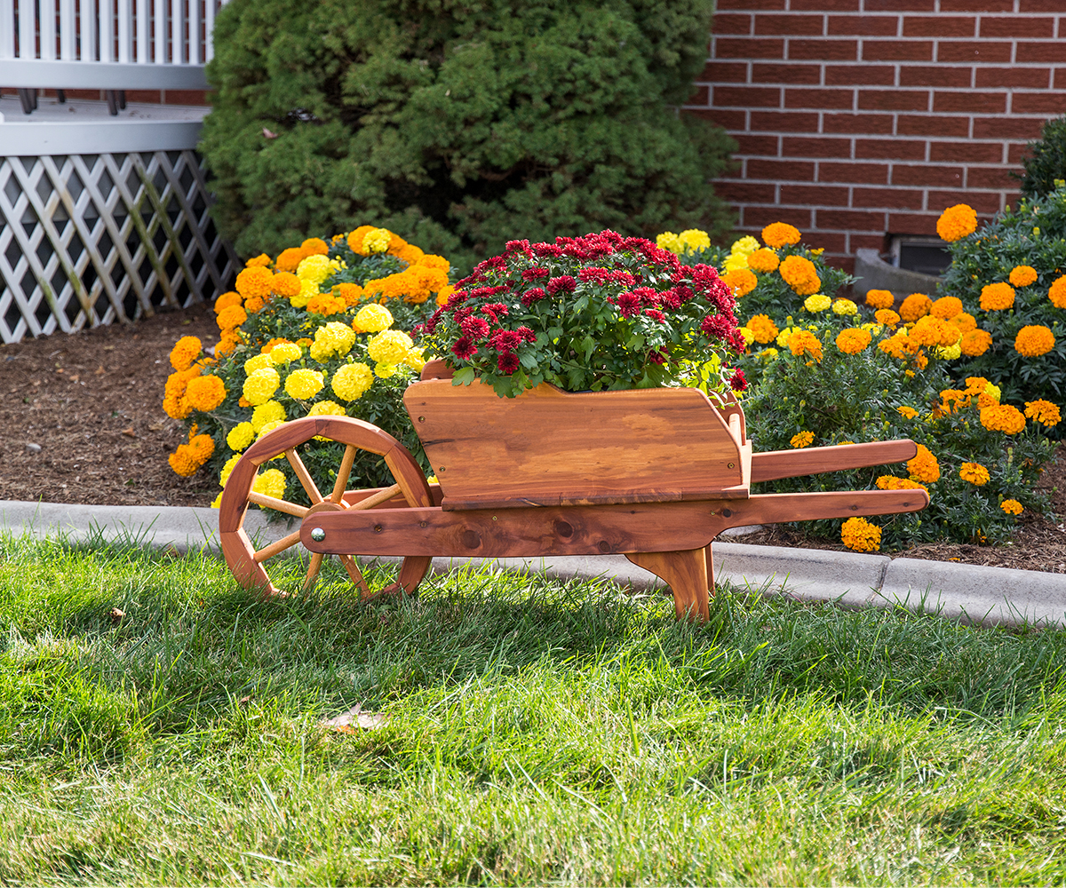 Wheelbarrow - Image 3